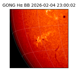 gong - 2026-02-04T23:00:02