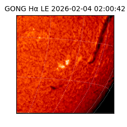 gong - 2026-02-04T02:00:42