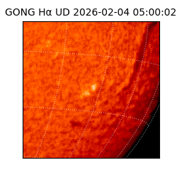 gong - 2026-02-04T05:00:02