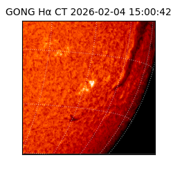 gong - 2026-02-04T15:00:42