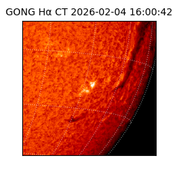 gong - 2026-02-04T16:00:42