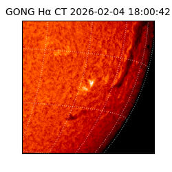 gong - 2026-02-04T18:00:42