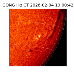 gong - 2026-02-04T19:00:42