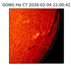 gong - 2026-02-04T22:00:42