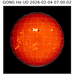 gong - 2026-02-04T07:00:02