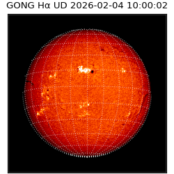 gong - 2026-02-04T10:00:02