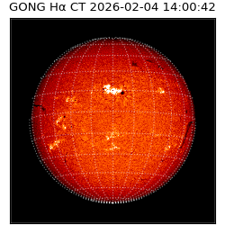 gong - 2026-02-04T14:00:42