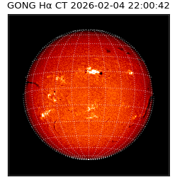 gong - 2026-02-04T22:00:42