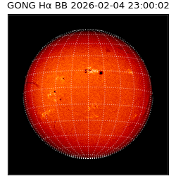 gong - 2026-02-04T23:00:02