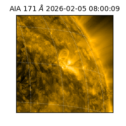 saia - 2026-02-05T08:00:09.341000