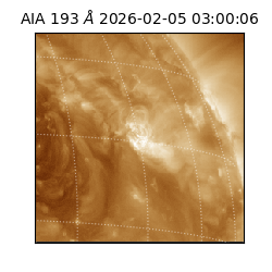 saia - 2026-02-05T03:00:06.810000