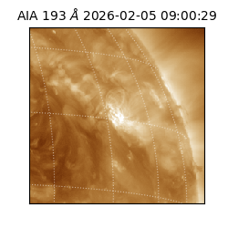 saia - 2026-02-05T09:00:29.619000