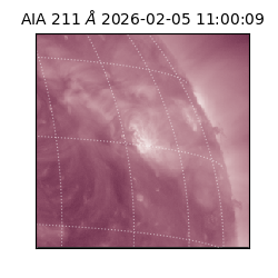 saia - 2026-02-05T11:00:09.631000
