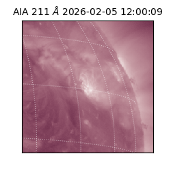 saia - 2026-02-05T12:00:09.618000