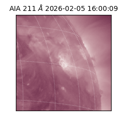 saia - 2026-02-05T16:00:09.623000