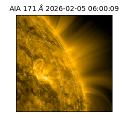saia - 2026-02-05T06:00:09.350000