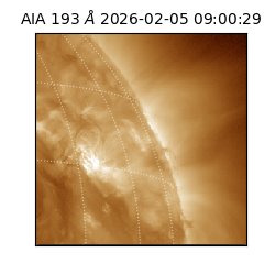 saia - 2026-02-05T09:00:29.619000
