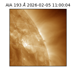 saia - 2026-02-05T11:00:04.843000