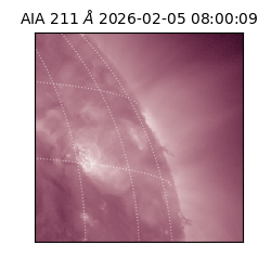 saia - 2026-02-05T08:00:09.619000