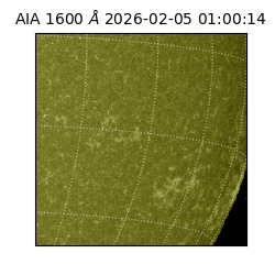 saia - 2026-02-05T01:00:14.118000