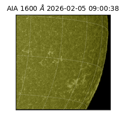 saia - 2026-02-05T09:00:38.121000
