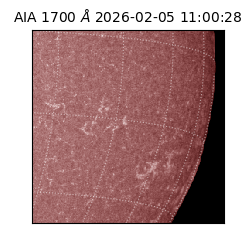 saia - 2026-02-05T11:00:28.710000