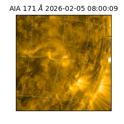 saia - 2026-02-05T08:00:09.341000