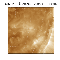 saia - 2026-02-05T08:00:06.800000