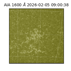 saia - 2026-02-05T09:00:38.121000