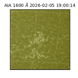 saia - 2026-02-05T19:00:14.133000