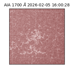 saia - 2026-02-05T16:00:28.717000
