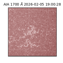 saia - 2026-02-05T19:00:28.710000