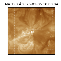 saia - 2026-02-05T10:00:04.842000