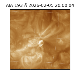 saia - 2026-02-05T20:00:04.843000