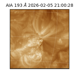 saia - 2026-02-05T21:00:28.846000