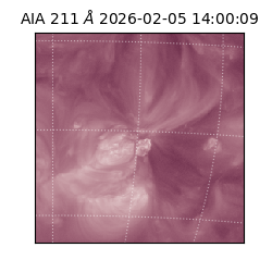 saia - 2026-02-05T14:00:09.619000