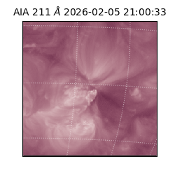 saia - 2026-02-05T21:00:33.633000