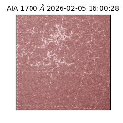 saia - 2026-02-05T16:00:28.717000