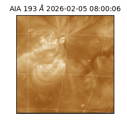 saia - 2026-02-05T08:00:06.800000