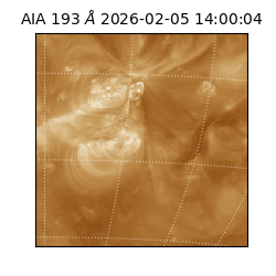 saia - 2026-02-05T14:00:04.835000