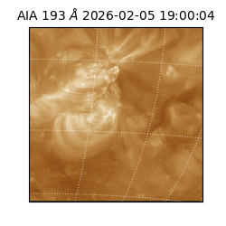 saia - 2026-02-05T19:00:04.843000