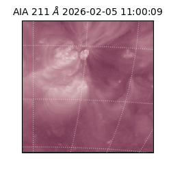saia - 2026-02-05T11:00:09.631000