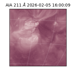 saia - 2026-02-05T16:00:09.623000