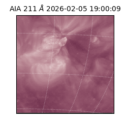 saia - 2026-02-05T19:00:09.626000