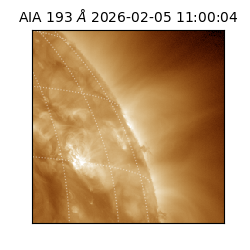 saia - 2026-02-05T11:00:04.843000