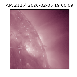saia - 2026-02-05T19:00:09.626000
