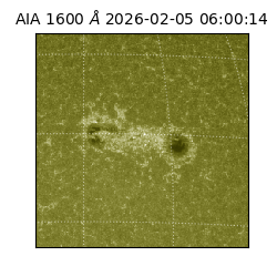 saia - 2026-02-05T06:00:14.131000