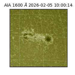 saia - 2026-02-05T10:00:14.125000