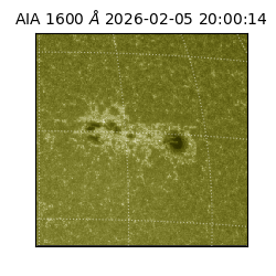 saia - 2026-02-05T20:00:14.126000