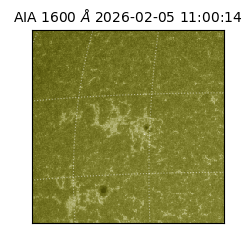 saia - 2026-02-05T11:00:14.126000